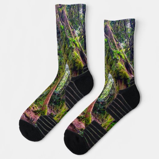 Mooswald Socken (Links)