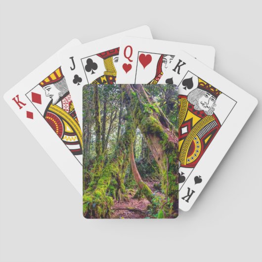 Mooswald Spielkarten (Rückseite)