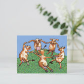 Mootise Dancing Cows Postkarte (Stehend Vorderseite)
