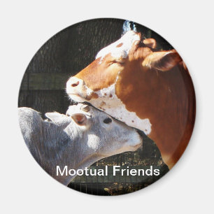 Mootual Freunde Magnet