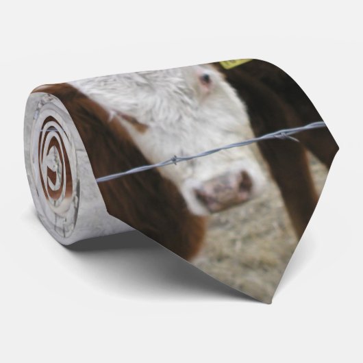 mOov es erkläre ich Ihnen! Krawatte (Gerollt)