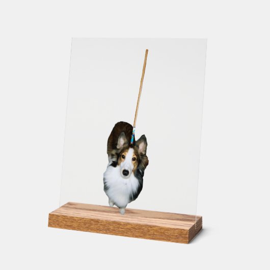 Mop Dog Acrylschild (Winkel)