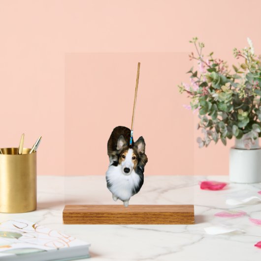 Mop Dog Acrylschild (Hochzeit)