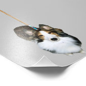 Mop Dog Fotodruck (Ecke)