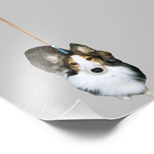 Mop Dog Fotodruck (Ecke)