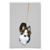 Mop Dog Fotodruck (Vorne)