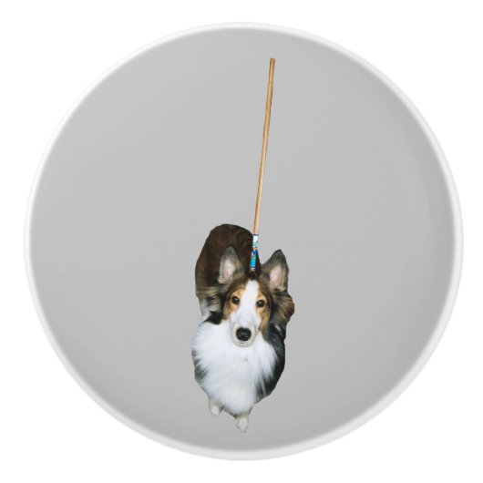 Mop Dog Keramikknauf (Vorderseite)