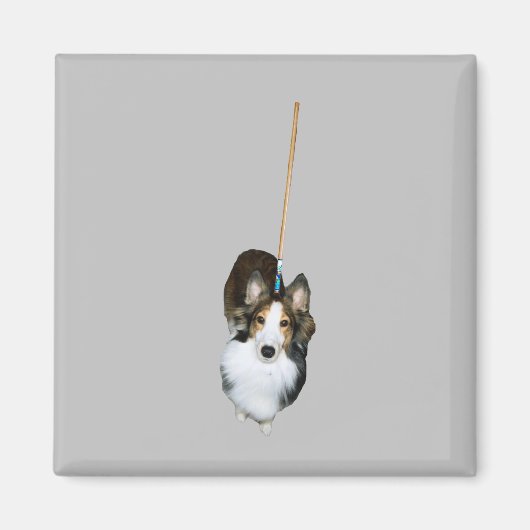 Mop Dog Magnet (Vorne)