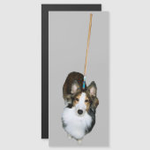 Mop Dog Magnetkarte (Vorne/Hinten)