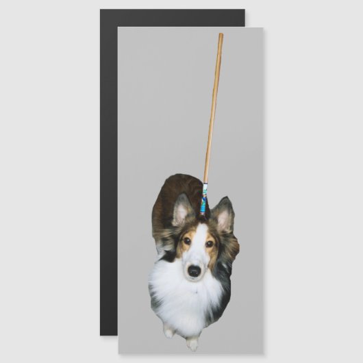 Mop Dog Magnetkarte (Vorne/Hinten)