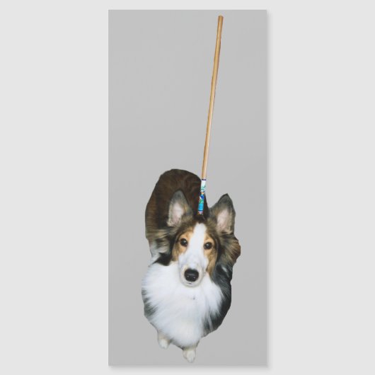 Mop Dog Magnetkarte (Vorderseite)