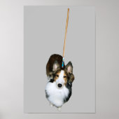 Mop Dog Poster (Vorne)
