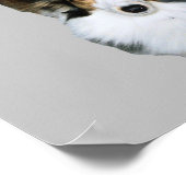 Mop Dog Poster (Ecke)