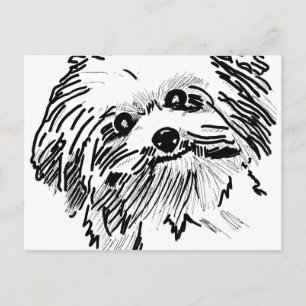 Mop Dog Postkarte