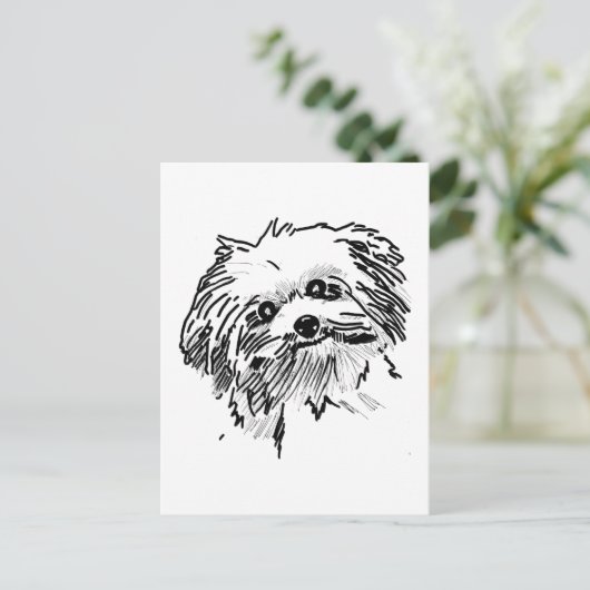 Mop Dog Postkarte (Stehend Vorderseite)