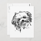 Mop Dog Postkarte (Vorne/Hinten)