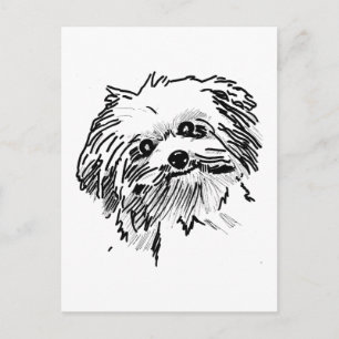 Mop Dog Postkarte