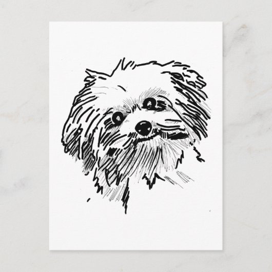 Mop Dog Postkarte (Vorderseite)