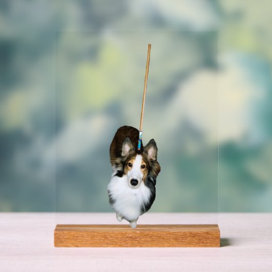 Mop Hund Acrylschild (Neutral)