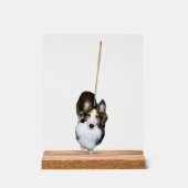 Mop Hund Acrylschild (Vorderseite)