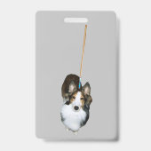Mop Hund Ausweis (Vorderseite)