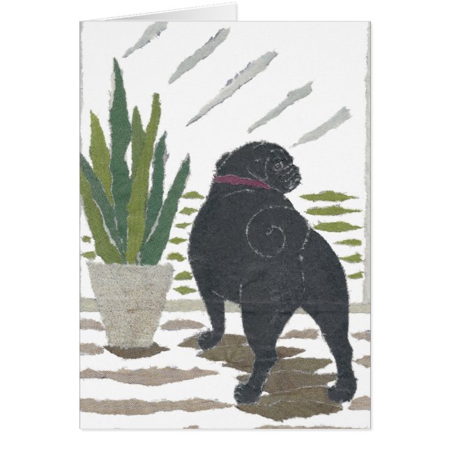 Mops (Vorne)