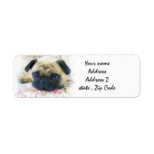 Mops (Vorne)