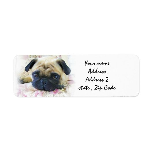 Mops (Vorne)
