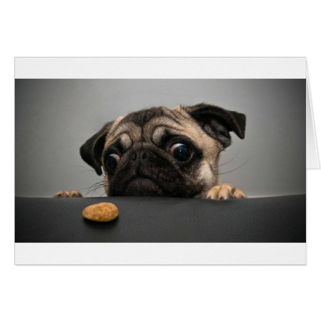 Mops (Vorderseite (Horizontal))