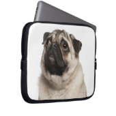 Mops (13 Monate alt) sucht nach oben Laptopschutzhülle (Vorne Rechts)