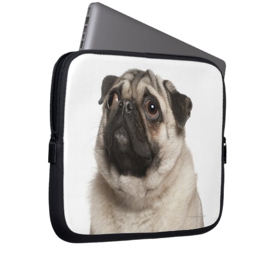 Mops (13 Monate alt) sucht nach oben Laptopschutzhülle (Vorne Rechts)