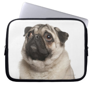 Mops (13 Monate alt) sucht nach oben Laptopschutzhülle