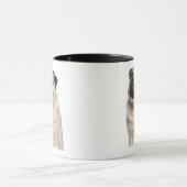 Mops (13 Monate alte) oben schauend Tasse (Zentrum)