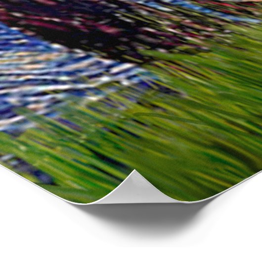 Mops 1 (fawn) - Starry Night Poster (Ecke)