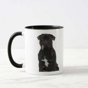 Mops (1-Jähriges) sitzend mit seinem Zungehängen Tasse