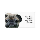 Mops-Adressetiketten Adressaufkleber (Vorne)