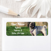 Mops-Adressmarken (Insitu)