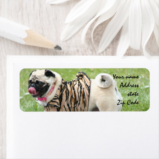 Mops-Adressmarken (Insitu)