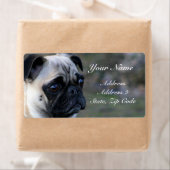 Mops-Adressmarken (Insitu)