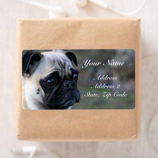 Mops-Adressmarken (Insitu)