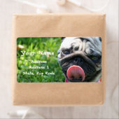 Mops-Adressmarken (Insitu)