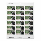 Mops-Adressmarken Adressaufkleber (Vorne)