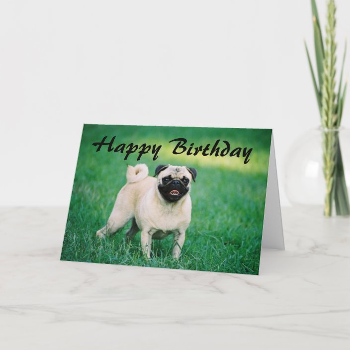 Mopsalles Gute zum Geburtstag Karte Zazzle.de