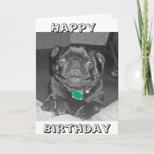 Grusskartenecards De  Geburtstag