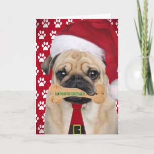 Mops Alles, was ich für Weihnachtskarten Gewollt h Feiertagskarte