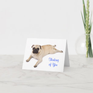 Mops-Ansichtskarte mit der Aufschrift "Thinking of Karte