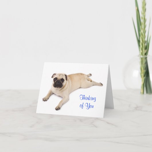Mops-Ansichtskarte mit der Aufschrift "Thinking of Karte (Vorderseite)