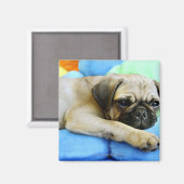 Mops auf Kissen Magnet (Vorderseite/Rückseite)