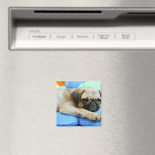 Mops auf Kissen Magnet (In Situ (Geschirrspüler))