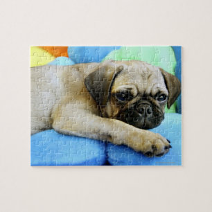 Mops auf Kissen Puzzle